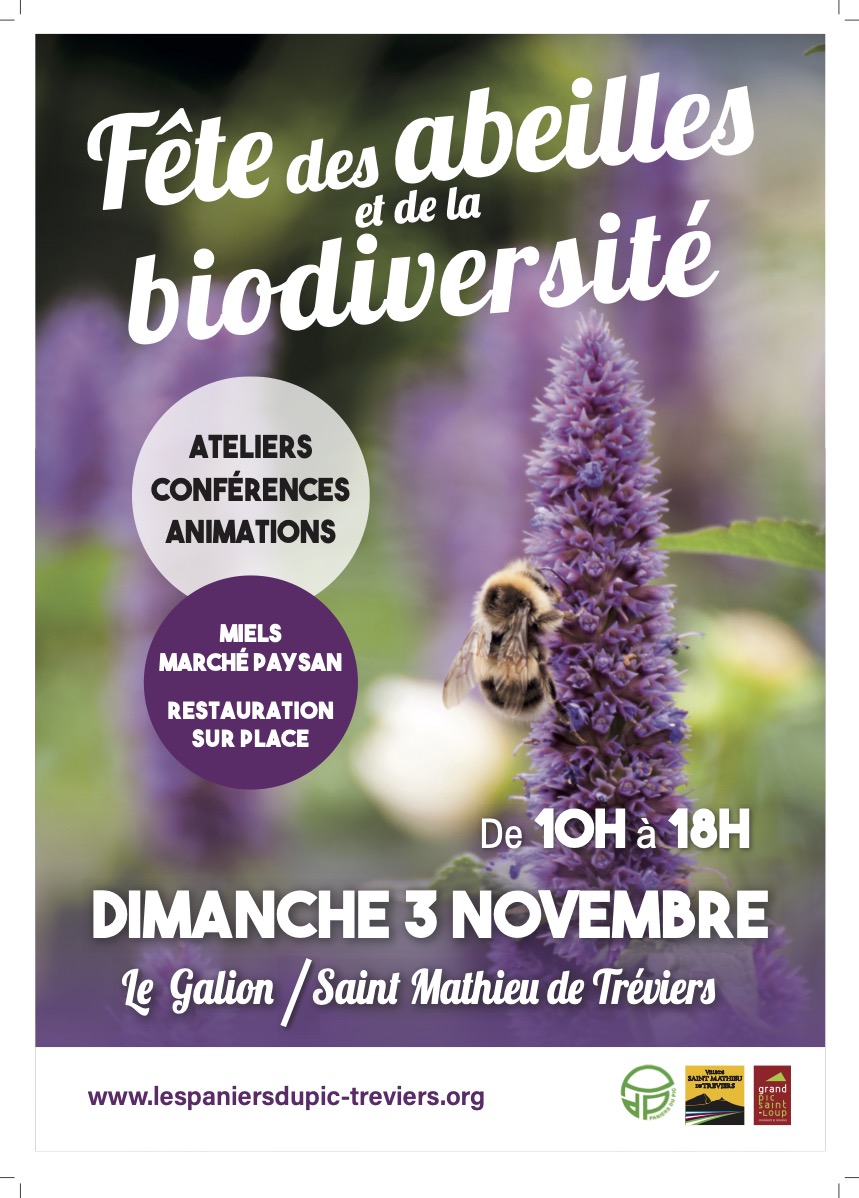 Affiche A4 FETES DES ABEILLES 2024